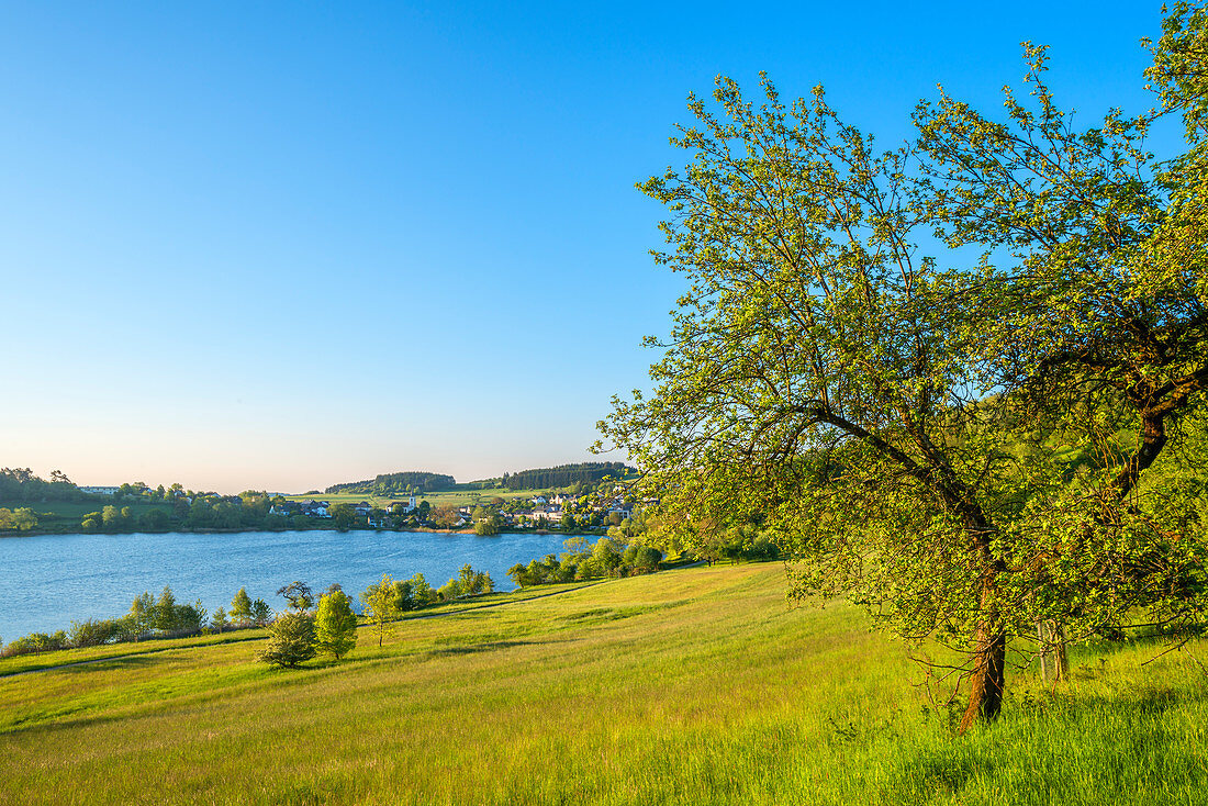 Morgenstimmung am Schalkenmehrener Maar, Eifel, Rheinland-Pfalz, Deutschland