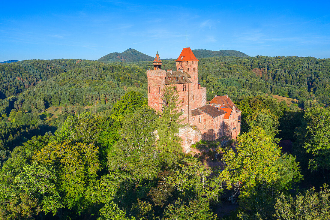 Luftaufnahme der Burg Berwartstein bei Erlenbach, Dahn, Wasgau, Pfälzer Wald, Rheinland-Pfalz, Deutschland