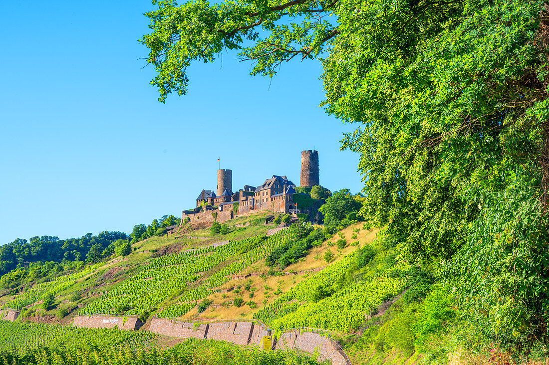 Thurant Castle near Alken, Moselle, Rhineland-Palatinate, Germany