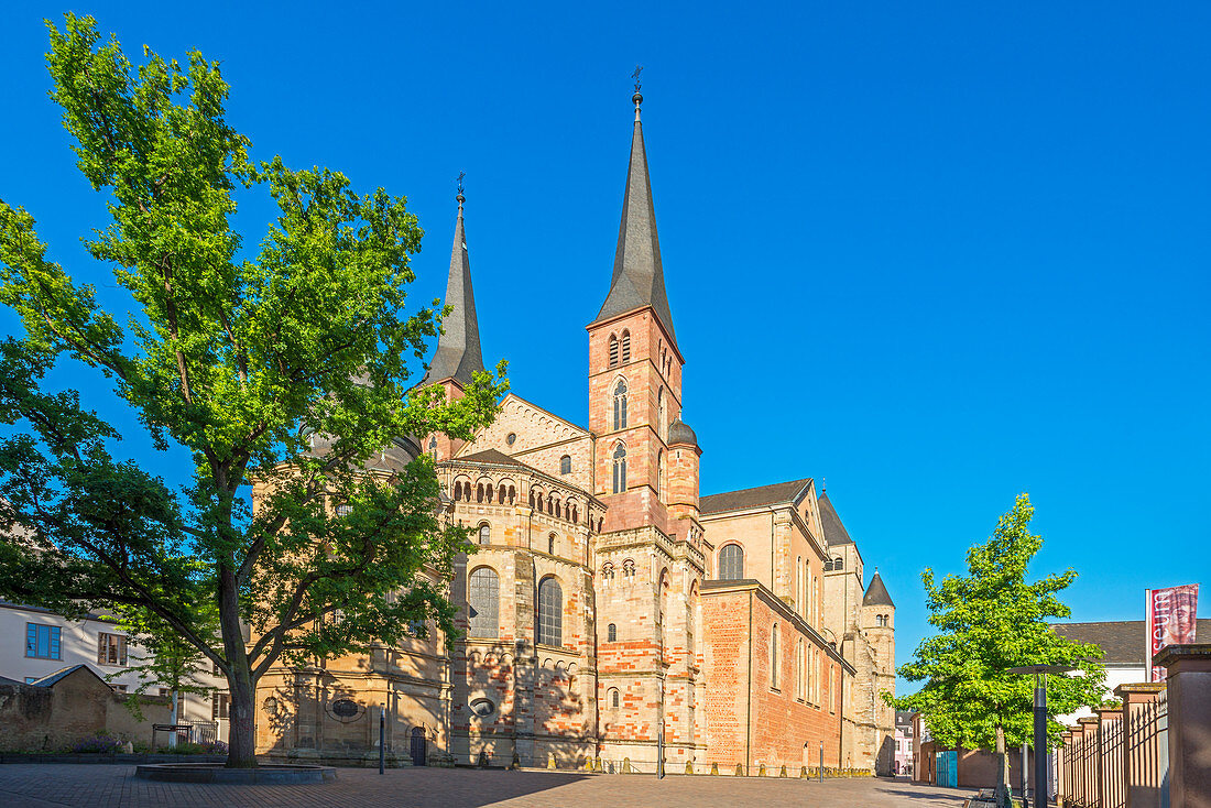 Rear view of the cathedral, Trier, Moselle, Rhineland-Palatinate, Germany