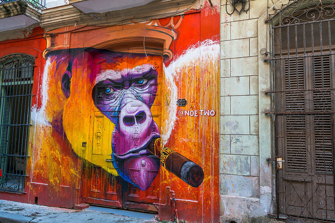Street art (monkey smokes cigar) in Old Havana, Cuba