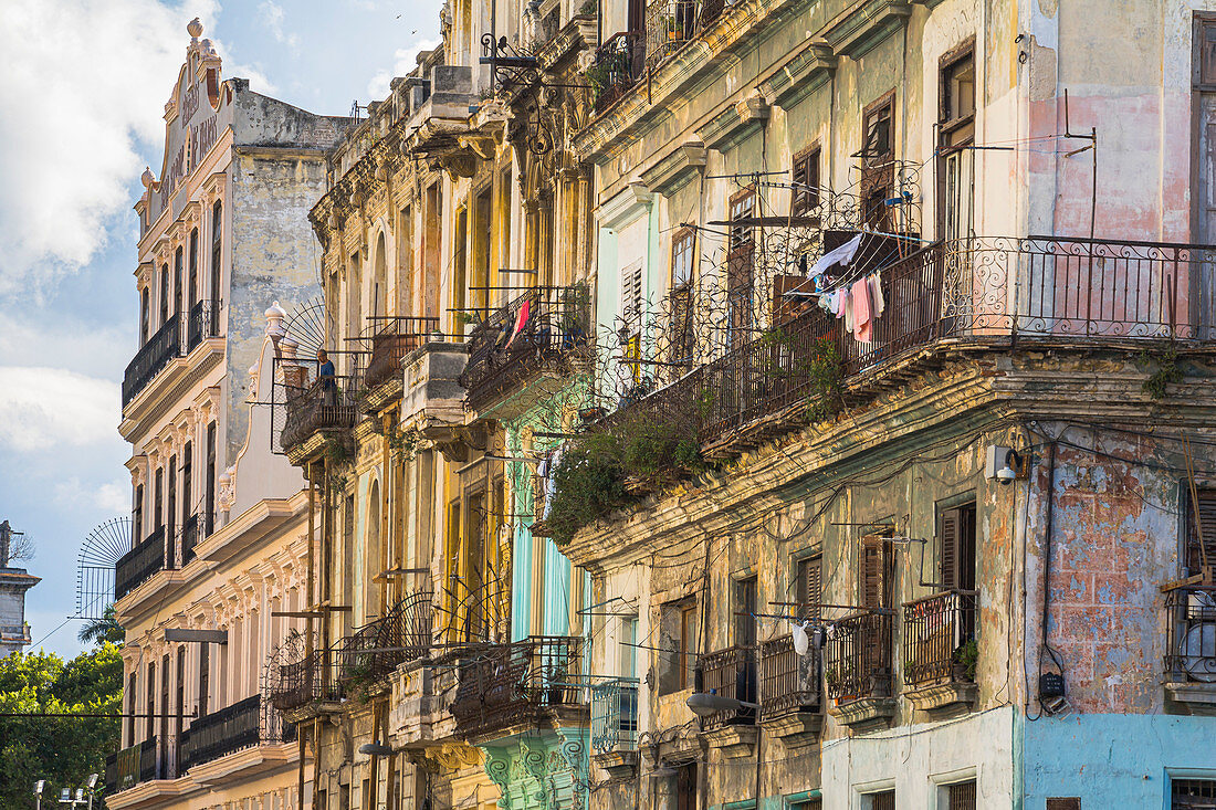 Heruntergekommene kubanische Häuserfassaden im Kolonialstil hinter dem Kapitol, Altstadt von Havanna, Kuba