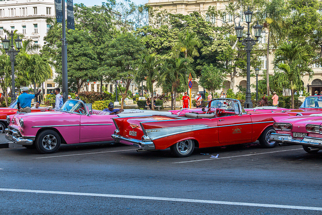 Aufpolierte Oldtimer parken in der Nähe des Kapitols, Altstadt von Havanna, Kuba