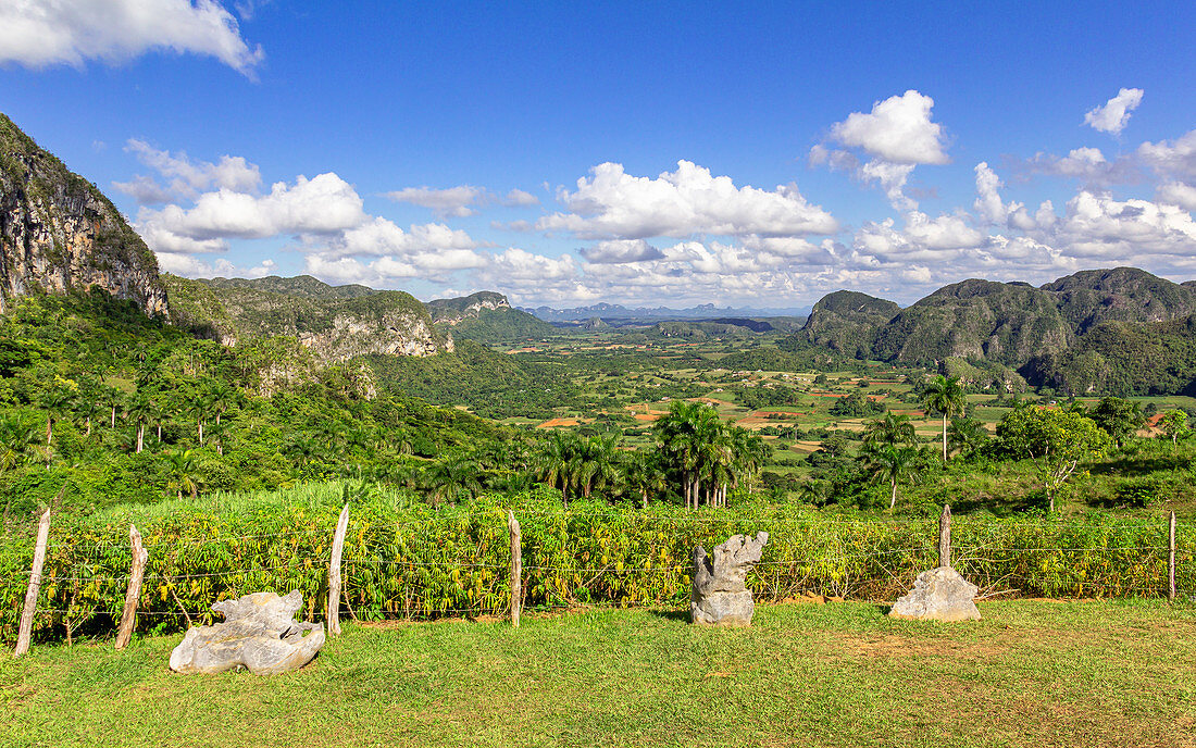 Blick von Aussichtspunkt "Los Aquaticos" über das Vinales Tal ("Valle de Vinales"), Pinar del Rio Provinz, Kuba