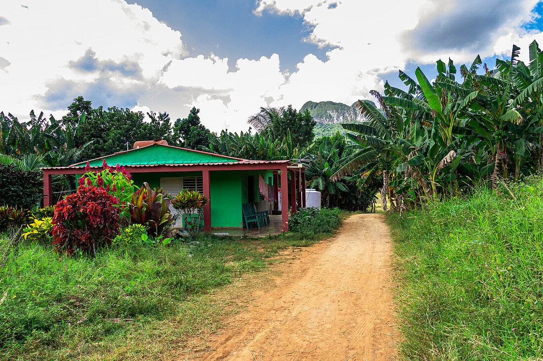 Landschaft und ländliches Leben auf Wanderweg im Vinales Tal ("Valle de Vinales"), Pinar del Rio Provinz, Kuba