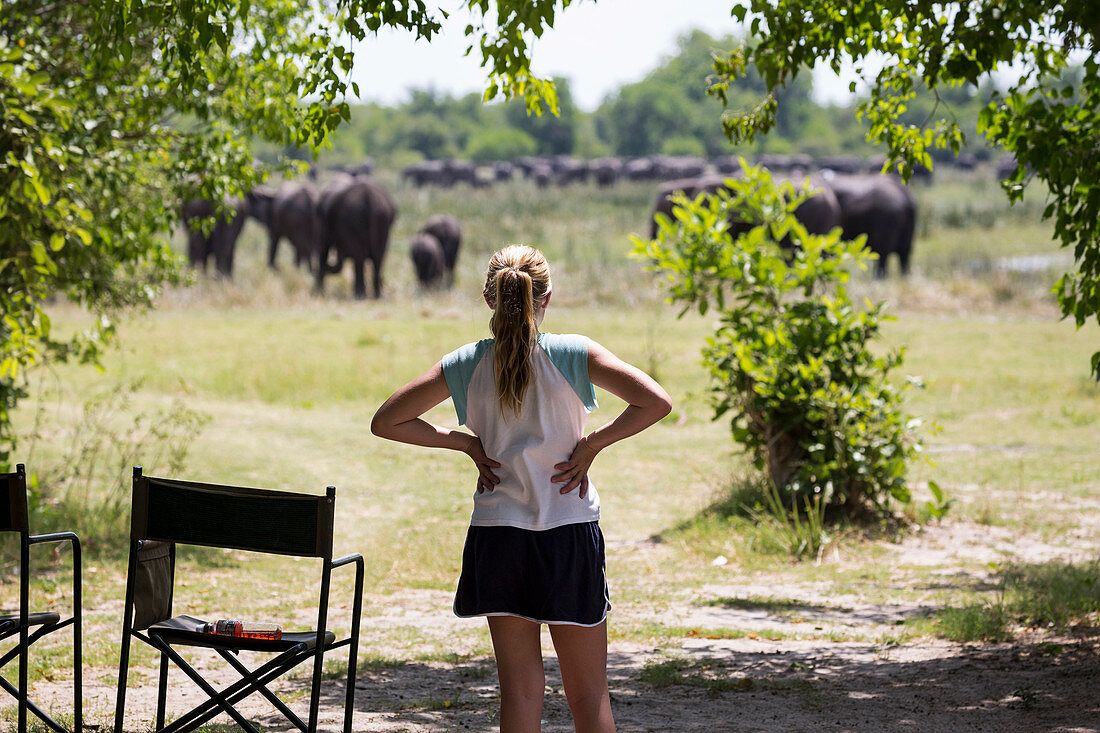 Zwölfjähriges Mädchen betrachtet die Elefanten, Moremi-Wildreservat, Botswana