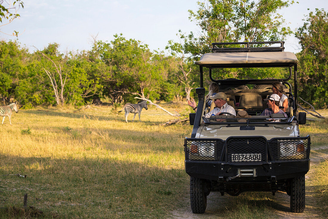 A family and guide in a safari jeep in a game reserve watching a couple of Burchell's Zebra.