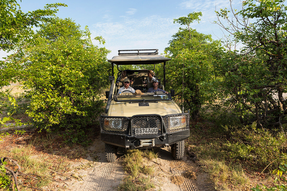 Safari jeep with a guide and passengers on a narrow track through scrub.