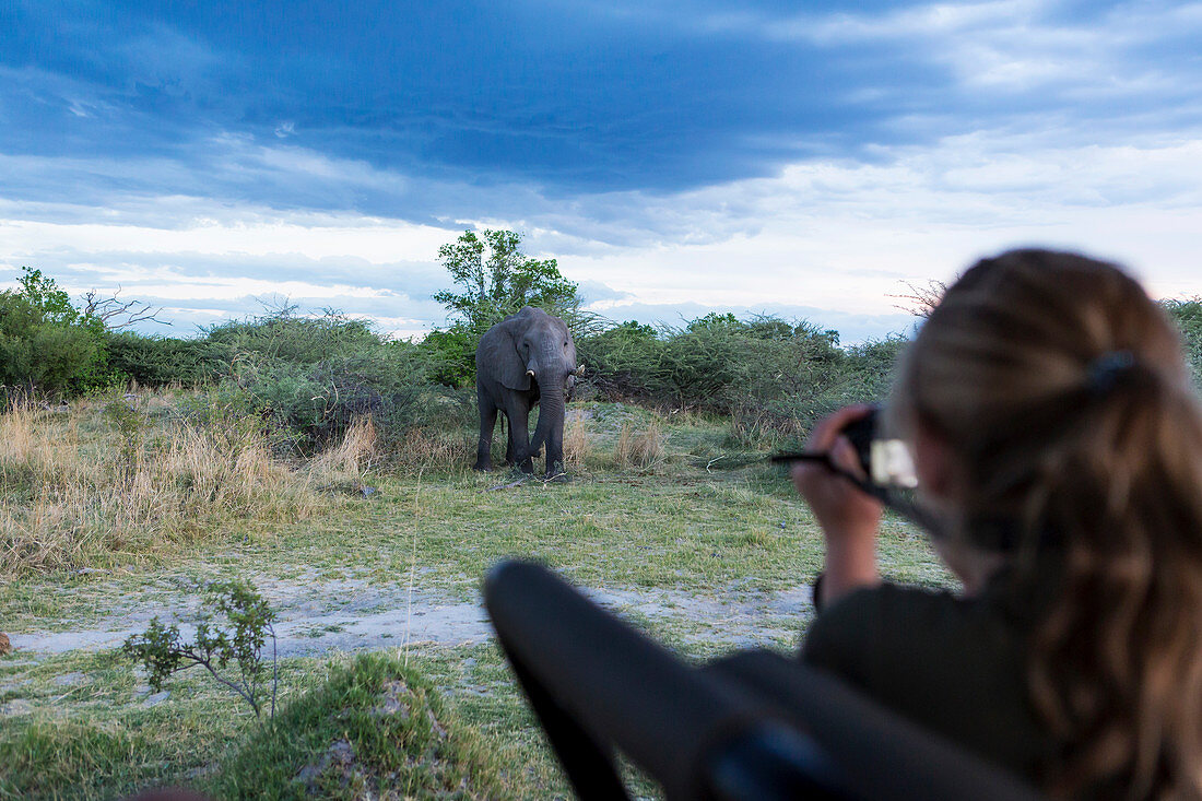 A teenage girl using a camera taking pictures of a mature elephant with tusks approaching