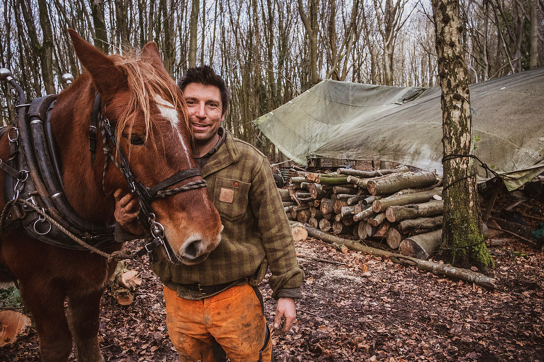 Porträt eines Holzfällers, der mit einem seiner Arbeitspferde im Wald steht