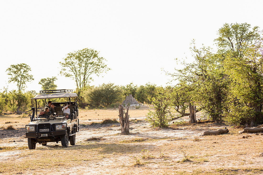 A jeep with passengers observing a pair of lions resting in a game reserve