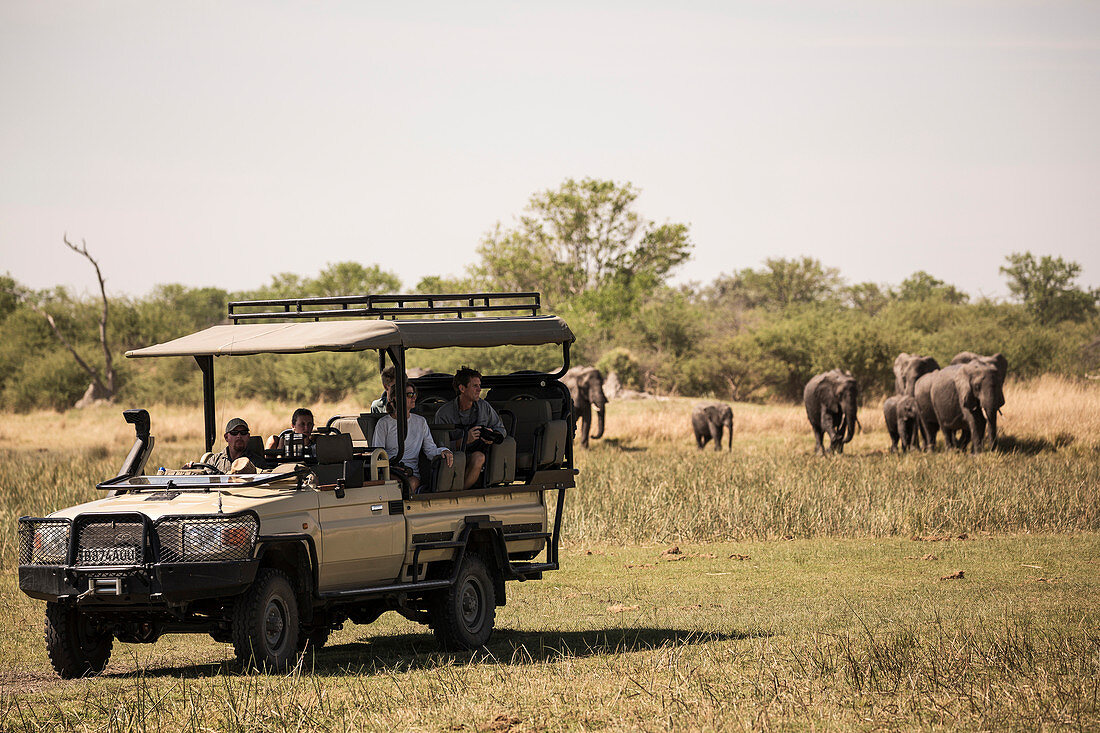 A jeep with passengers observing elephants gathering at water hole.