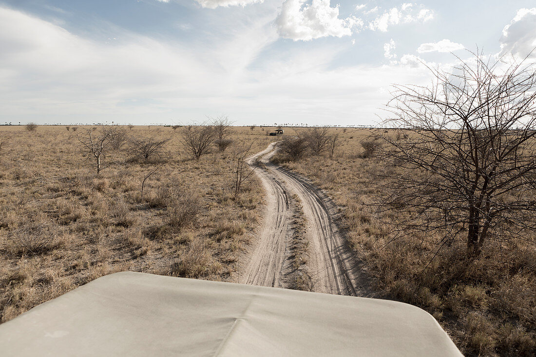 A safari vehicle on a road snaking across the landscape