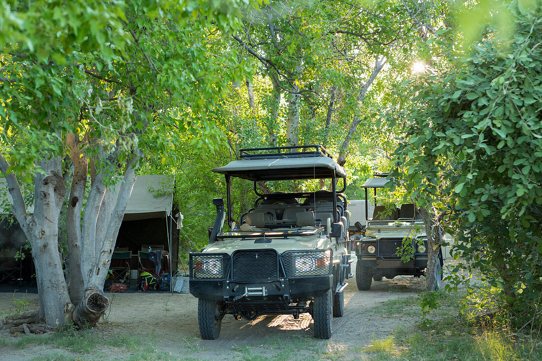 Safari vehicles under the trees in a wildlife reserve camp.