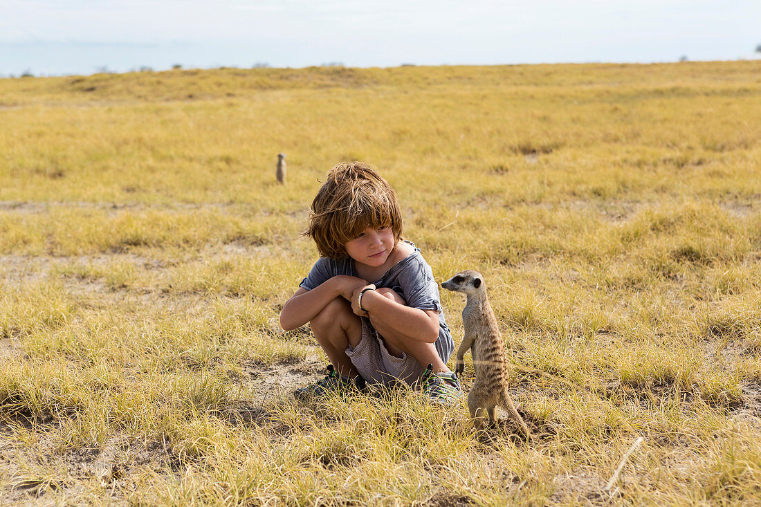 5 year old boy looking at Meerkats, Kalahari Desert, Makgadikgadi Salt Pans, Botswana
