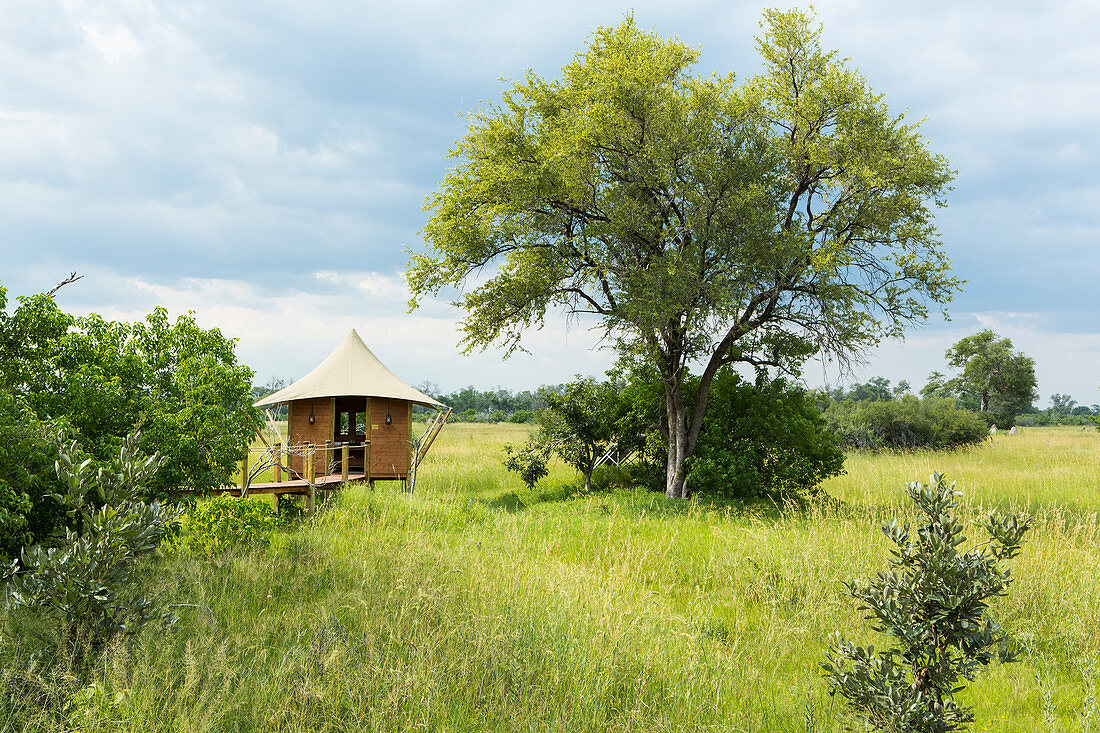 A safari camp, view across grassland and trees and a small pavilion and observation platform on stilts above the grass.