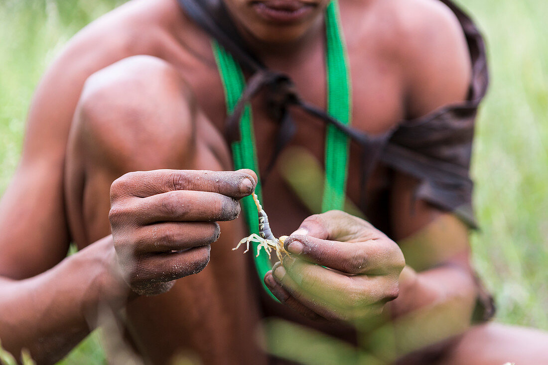 close up of Bushman holding scorpion,Botswana