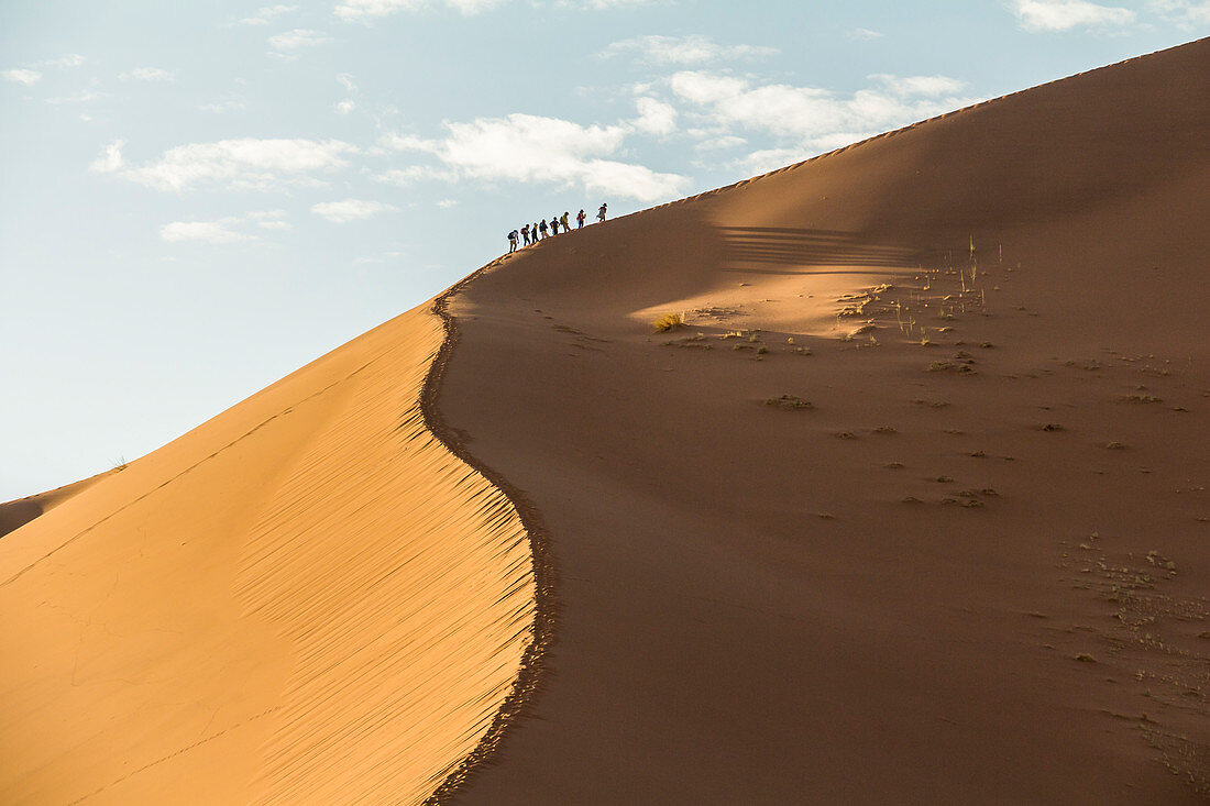 Ascent to the Big Daddy Dune at Sossusvlei in the morning light, Sesriem, Namibia