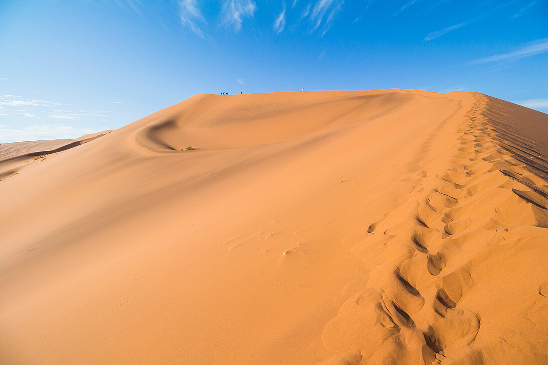 Aufstieg zur Big Daddy Düne bei Sossusvlei im Morgenlicht, Sesriem, Namibia