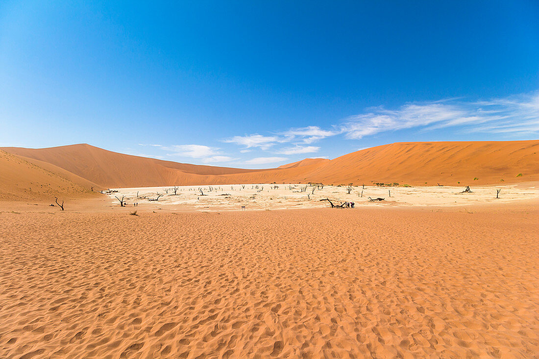 View over wide landscape of the Deadvlei (white salt-clay pan), Sossusvlei, Sesriem, Namibia