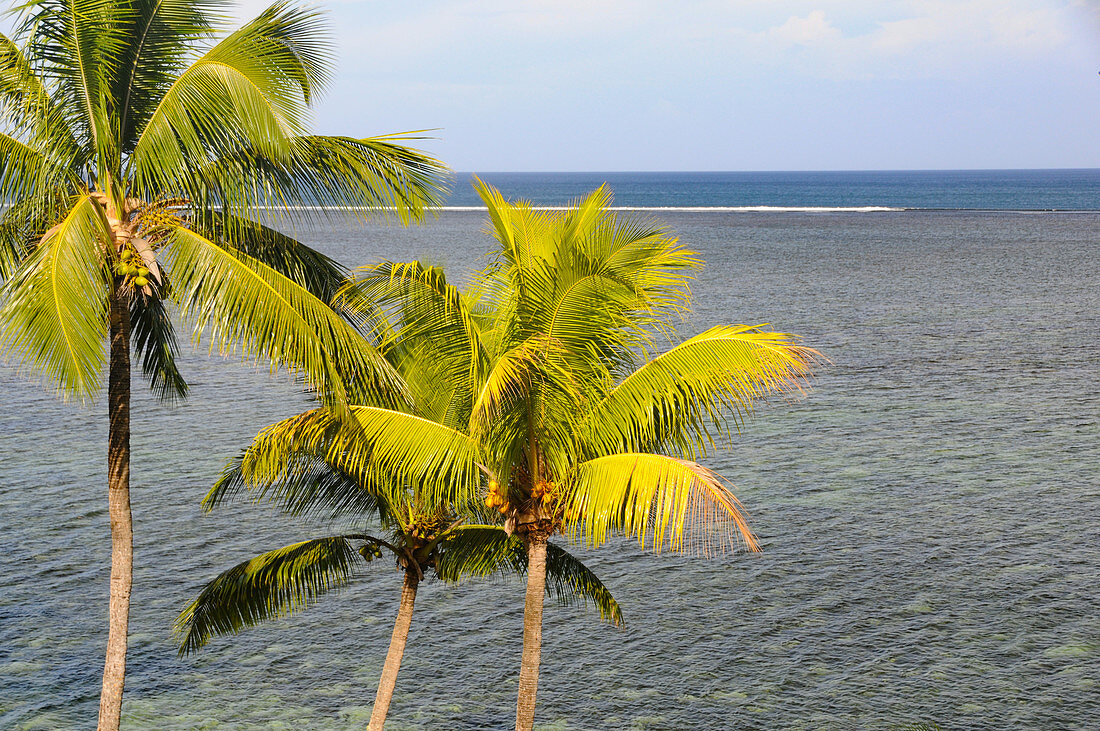 Coral reef in the Pacific Ocean and palm trees on Yanuca Island, Fiji