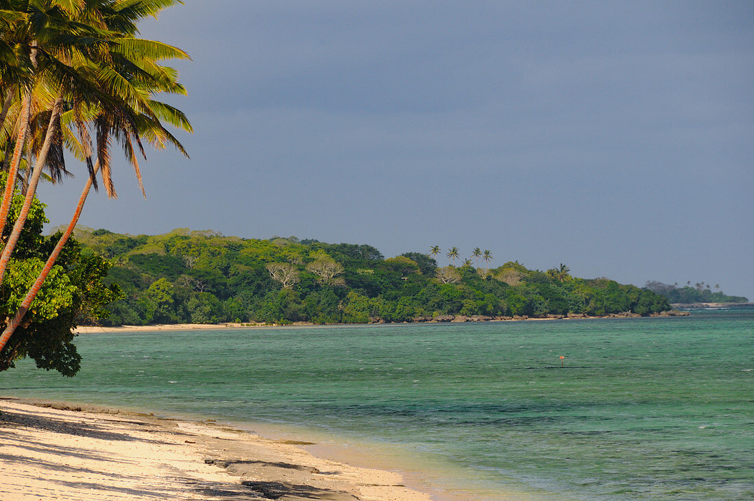 Ein Traumstrand mit Palmen und üppiger Vegetation, Yanuca Island, Fiji