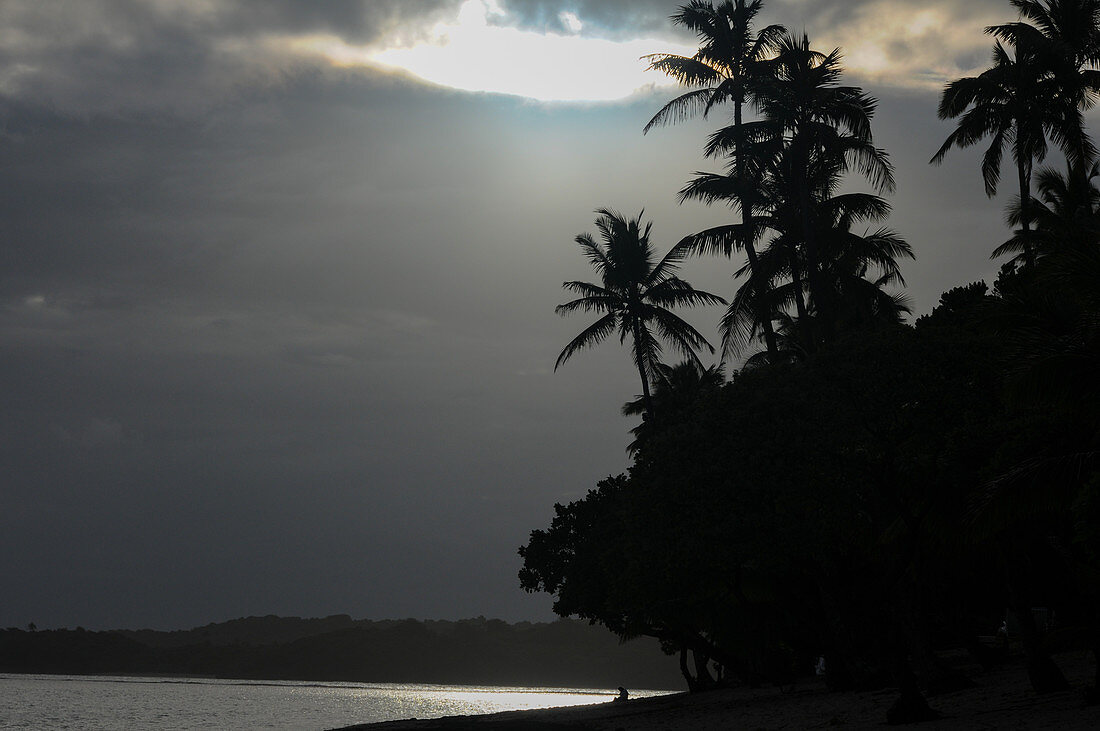 Blick auf Palmen und Pazifik vor dem Tropenregen mit dramatischem Licht, Savusavu, Fiji