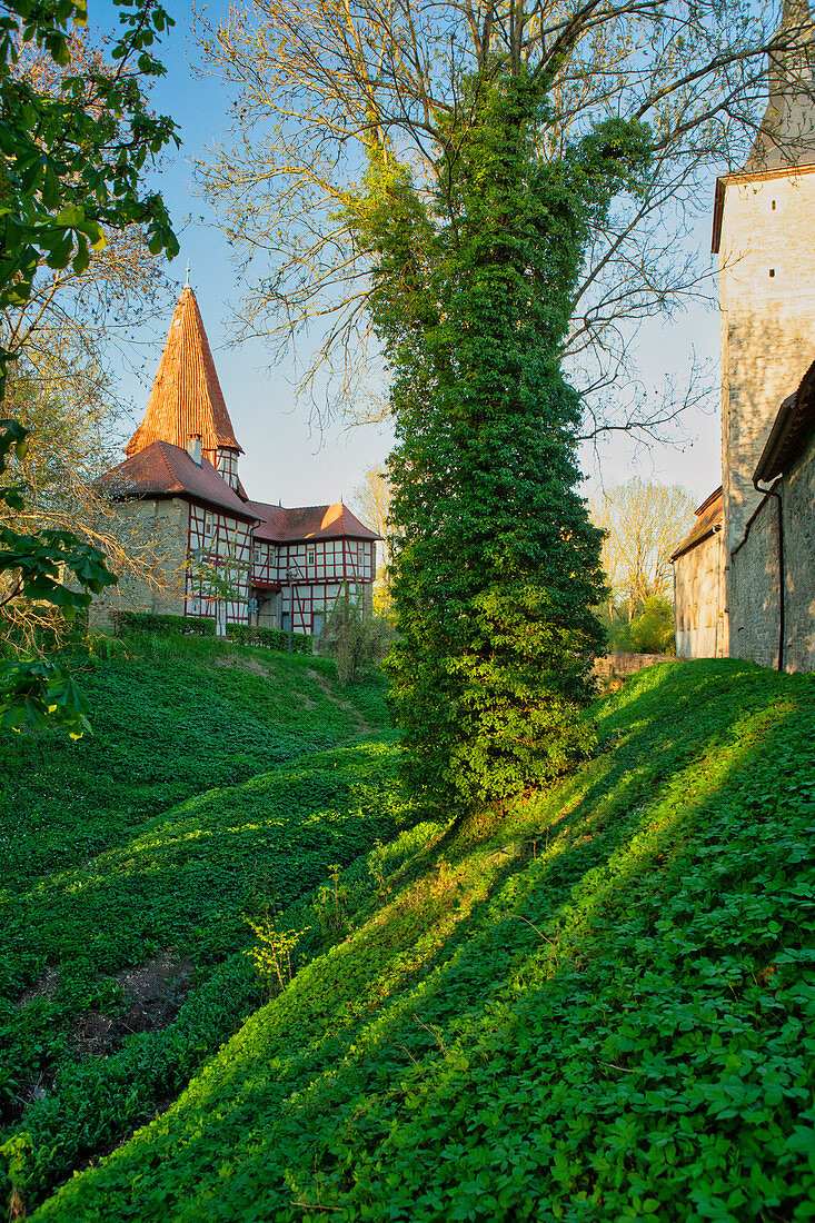 Blick vom Herrengraben auf das Rödelseer Tor in Iphofen, Kitzingen, Unterfranken, Franken, Bayern, Deutschland, Europa