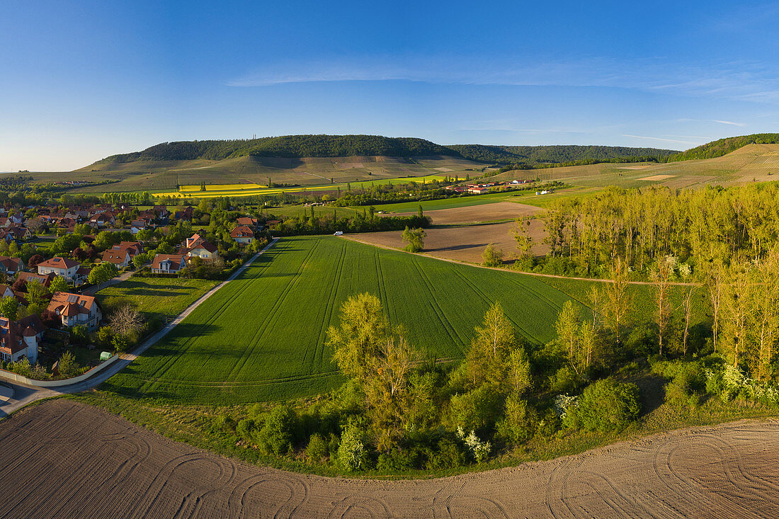 Landscape near Iphofen, Kitzingen, Lower Franconia, Franconia, Bavaria, Germany, Europe