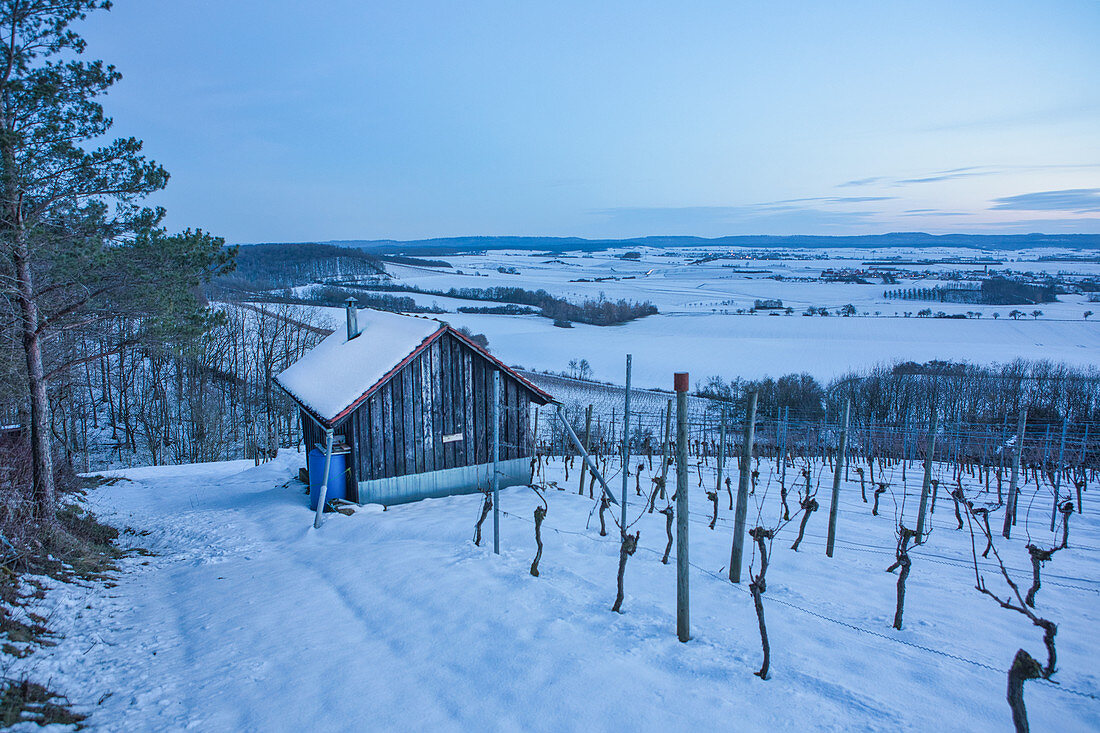 Die Weinlage Vogelsang bei Markt Einersheim im Winter, Possenheim, Kitzingen, Unterfranken, Franken, Bayern, Deutschland, Europa