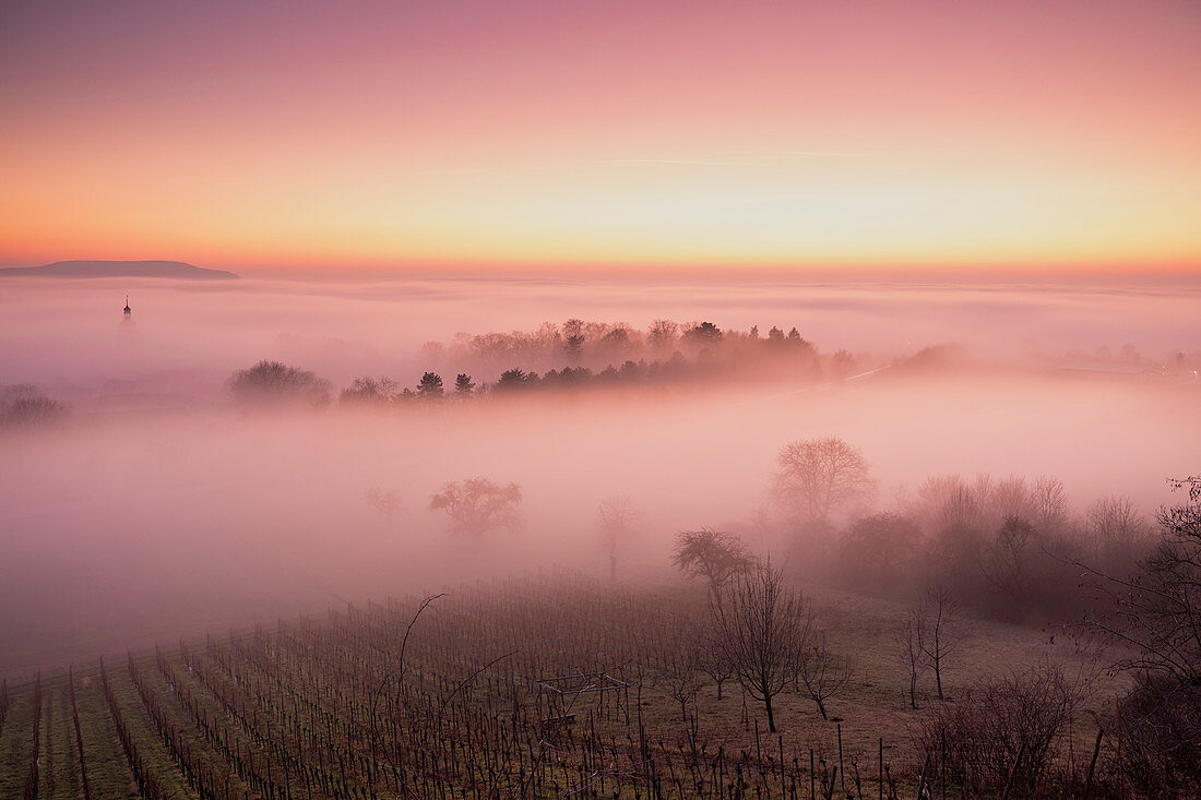 Ground fog at Markt Einersheim, Kitzingen, Lower Franconia, Franconia, Bavaria, Germany, Europe