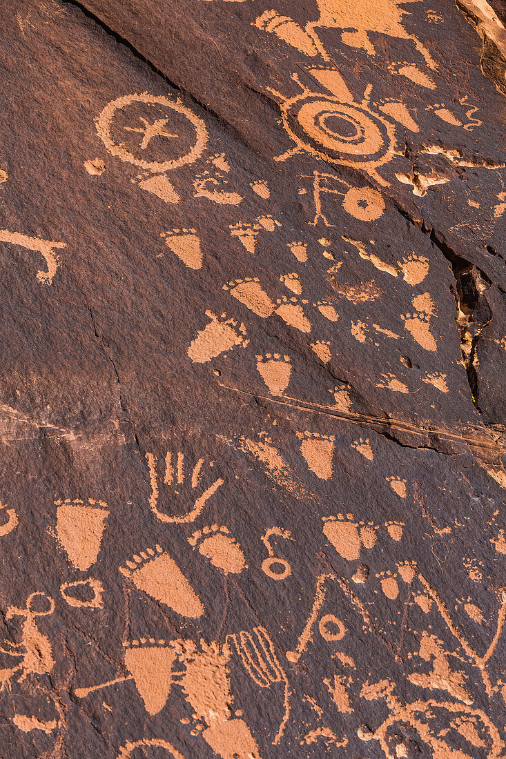 Petroglyphen vom Ute-Volk am Newspaper Rock im Indian Creek National Monument, ehemals Teil des Bears Ears National Monument im Süden von Utah, USA