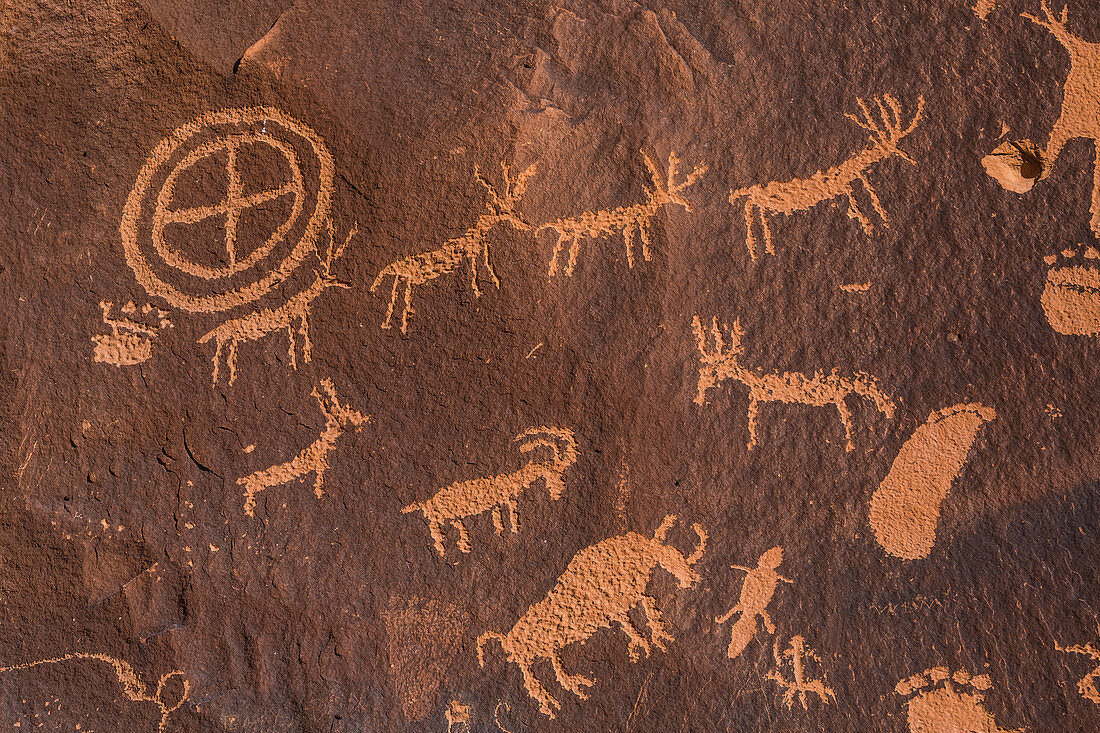 Animal petroglyphs made by Ute People at Newspaper Rock in Indian Creek National Monument, formerly part of Bears Ears National Monument, southern Utah, USA