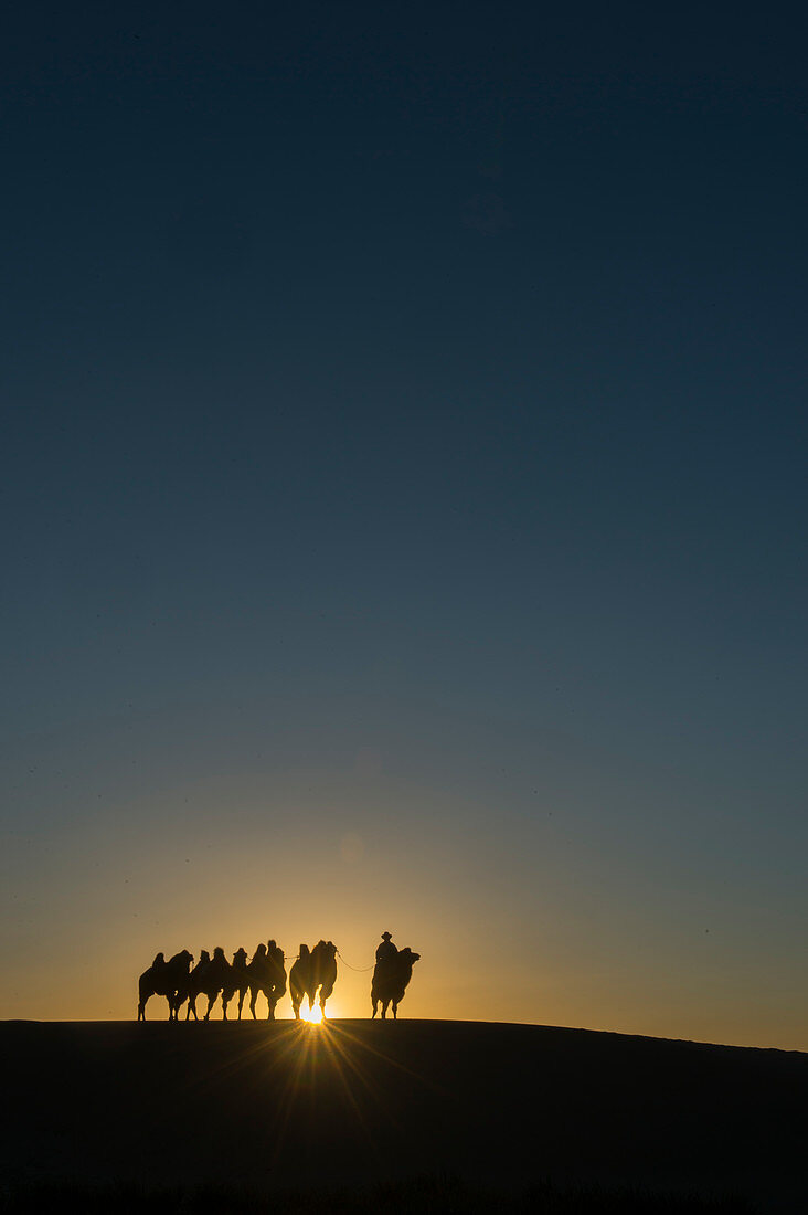 Mongolischer Hirt mit Trampeltier bei Sonnenuntergang auf den Sanddünen von Hongoryn Els in der Wüste Gobi im Nationalpark Gobi Gurwan Saichan in der Südmongolei