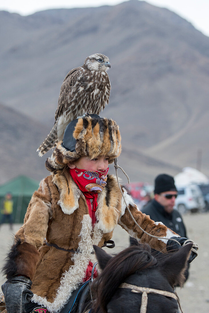 Ein Teenager mit einem Sakerfalken (Falco cherrug) auf dem Kopf beim Golden Eagle Festival (Adlerjägerfest) in der Nähe der Stadt Ulgii (Ölgii) in der Provinz Bajan-Ölgii in der Westmongolei