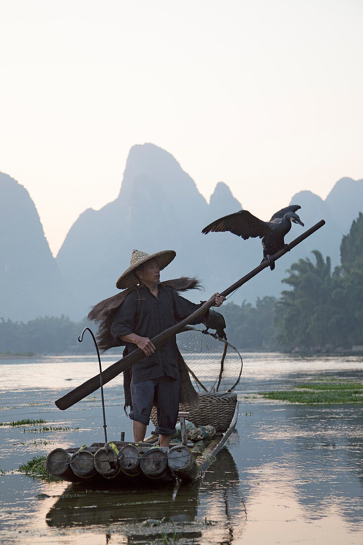 Kormoranfischer am Fluss Li, Guilin, Region Guangxi, China LA008351