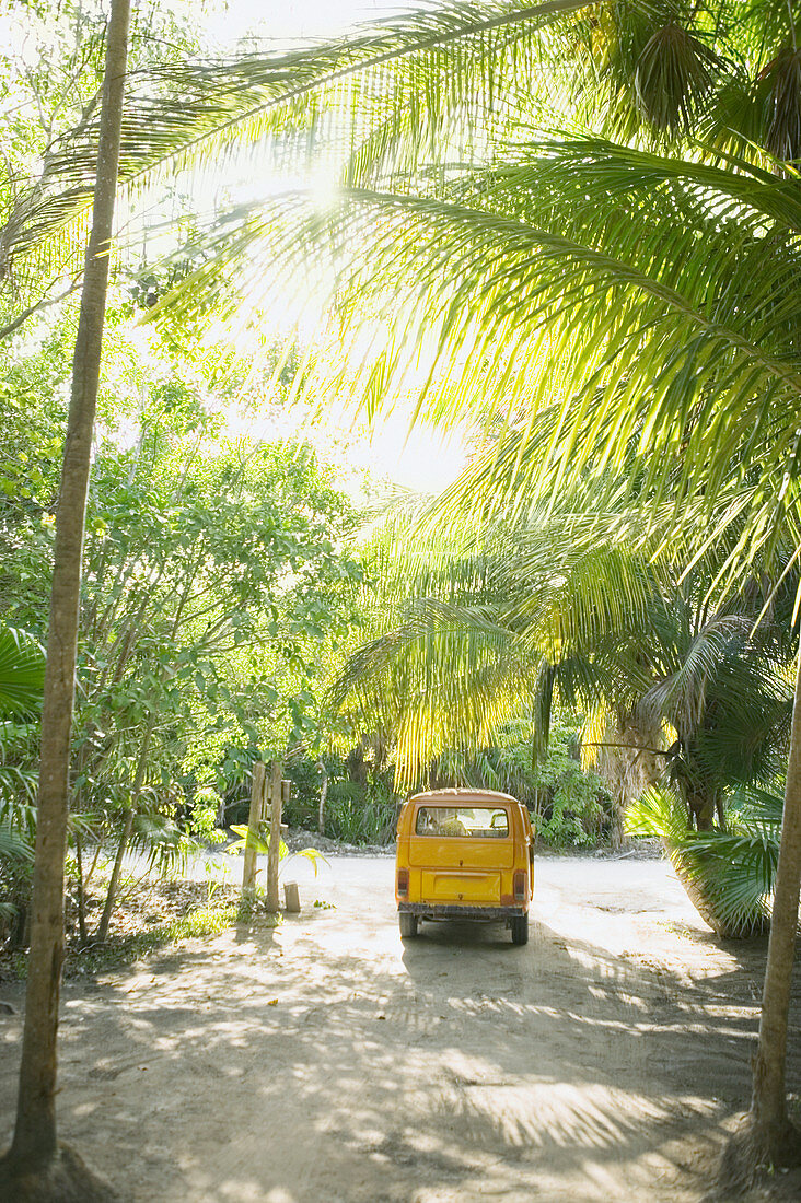Van parked in the tropical setting