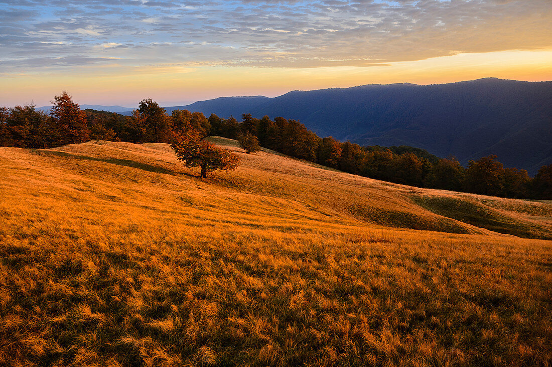 Ukraine, Region Transkarpatien, Karpaten, Borschawa, Hügelland Munchel, Herbstlandschaft mit dahinter liegenden Bergen im Abendlicht