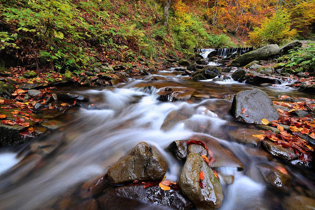 Ukraine, Region Transkarpatien, Karpaten, Werchnij Schepit Wasserfall, verschwommener Wasserfall in der Herbstlandschaft