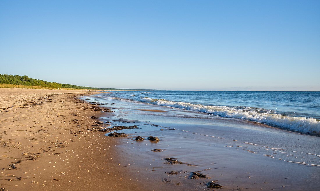 Beach panorama of the Baltic Sea near Trassenheide in the morning, Usedom, Mecklenburg-Western Pomerania, Germany