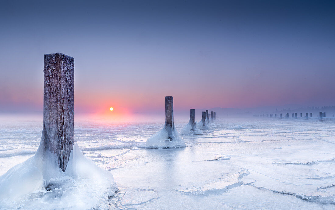 Icy winter morning in abandoned marina, wooden posts in the frozen lake at sunrise, Seeshaupt, Lake Starnberg, Bavaria, Germany