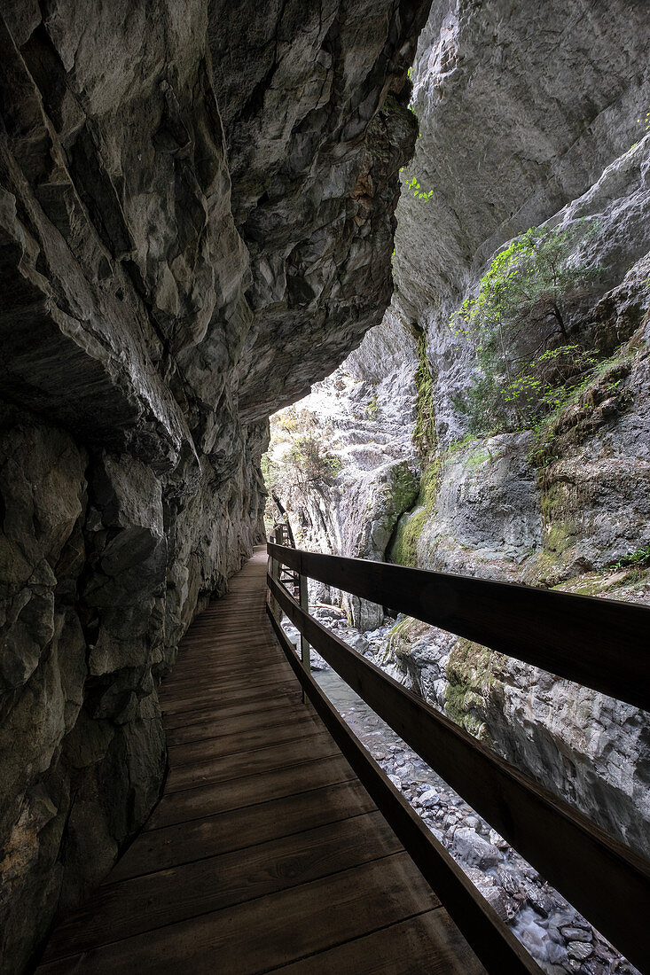 Blick auf den Holzsteig durch das Alploch, Wanderung Rappenlochschlucht, Dornbirn, Vorarlberg, Österreich, Europa