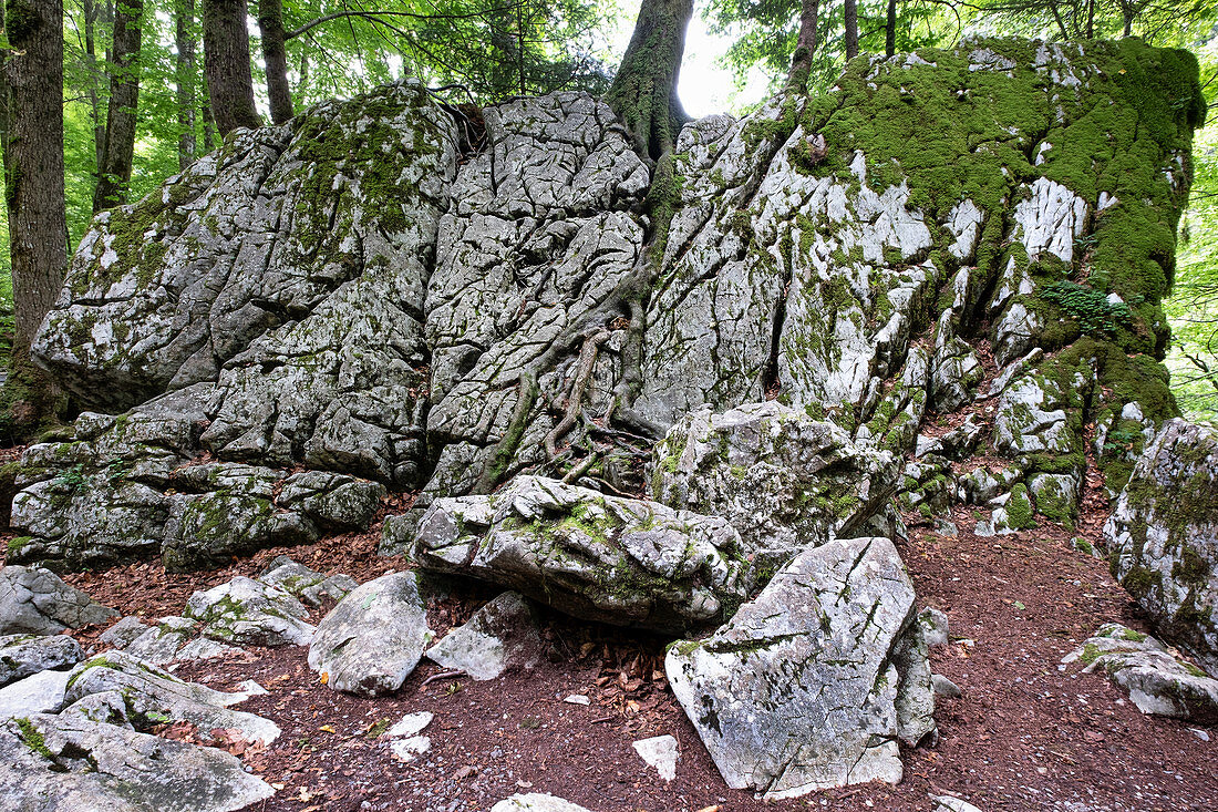 View of rocks in the Alploch, hike Rappenlochschlucht, Dornbirn, Vorarlberg, Austria, Europe