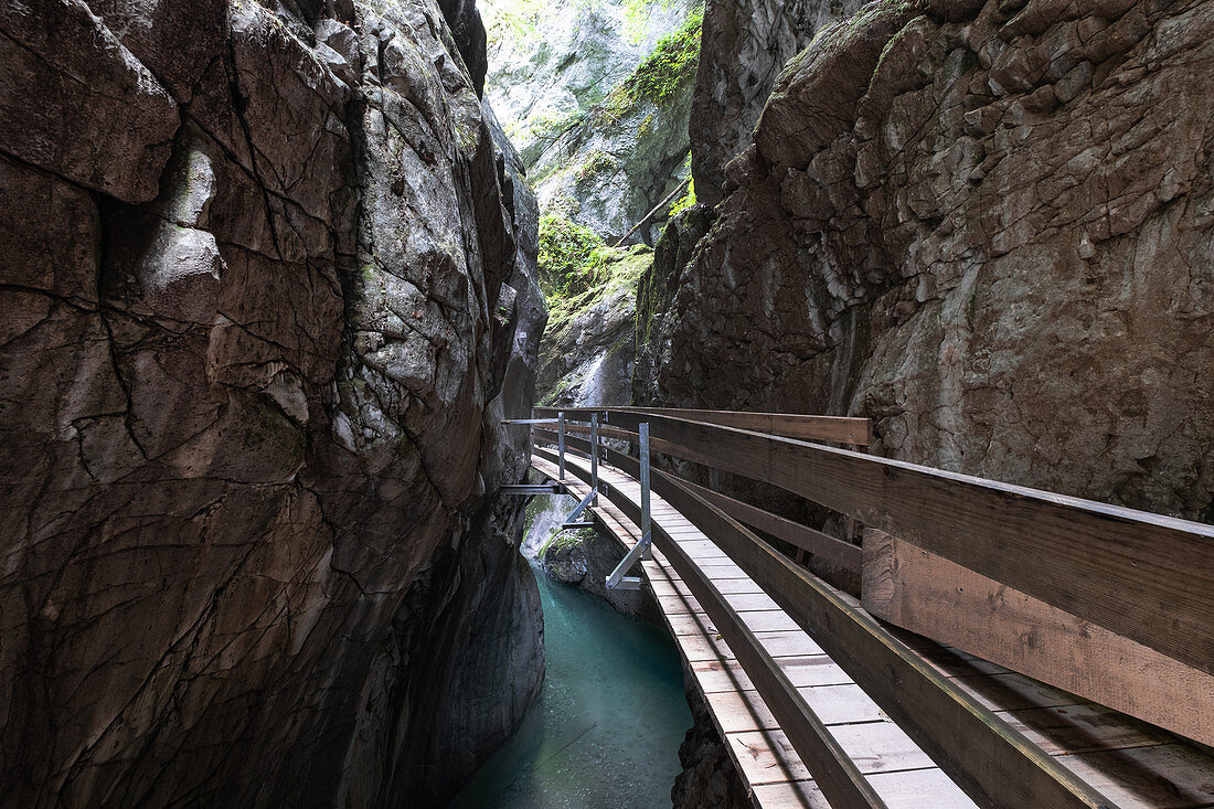 Blick auf den Holzsteig durch das Alploch, Wanderung Rappenlochschlucht, Dornbirn, Vorarlberg, Österreich, Europa