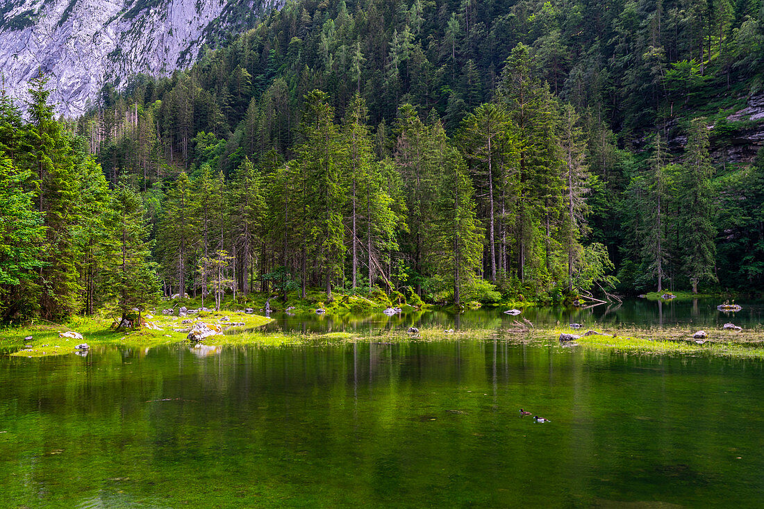 Idyllische Lage der Gosaulacke, Mittlerer See der Gosauseen, Salzkammergut, Oberösterreich, Österreich