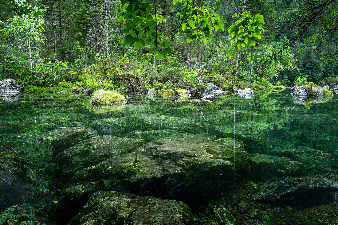 Idyllische Lage der Gosaulacke, Mittlerer See der Gosauseen, Salzkammergut, Oberösterreich, Österreich