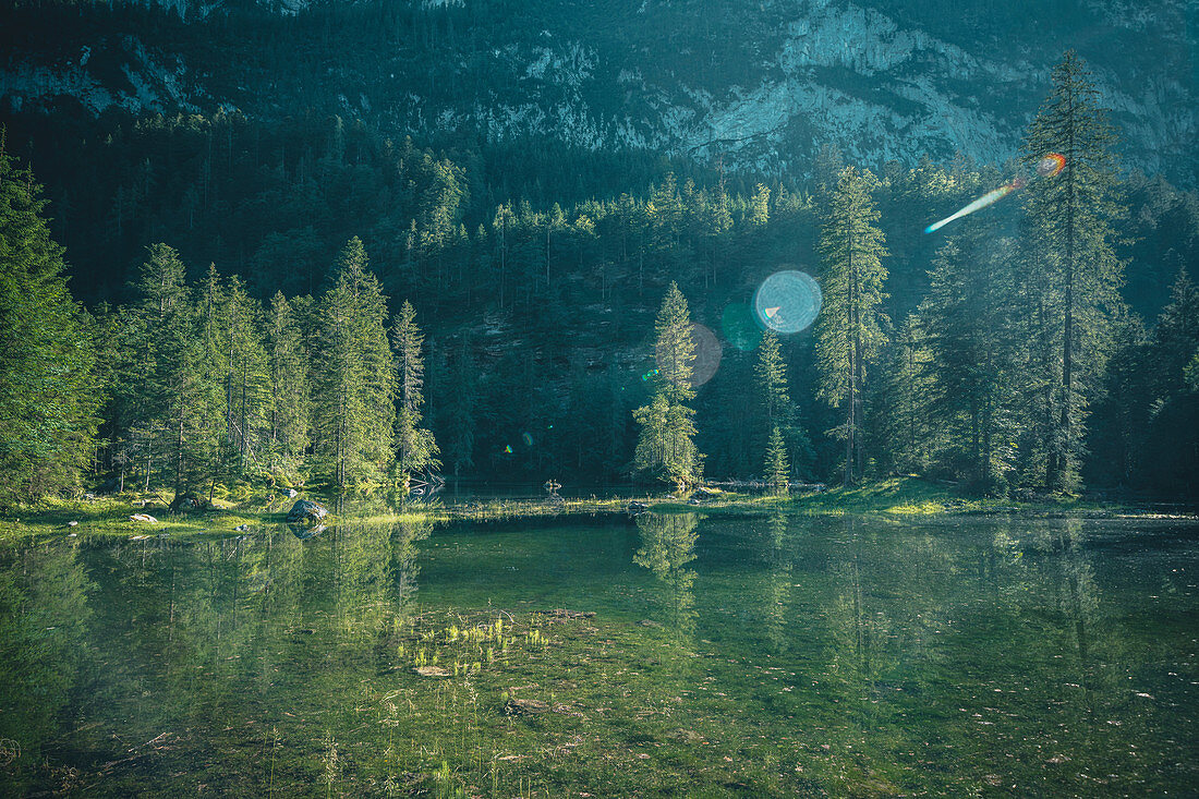 Stimmungsvoller Bergsee (Gosaulacke) mit Nadelbäumen am Ufer, Salzkammergut, Oberösterreich, Österreich