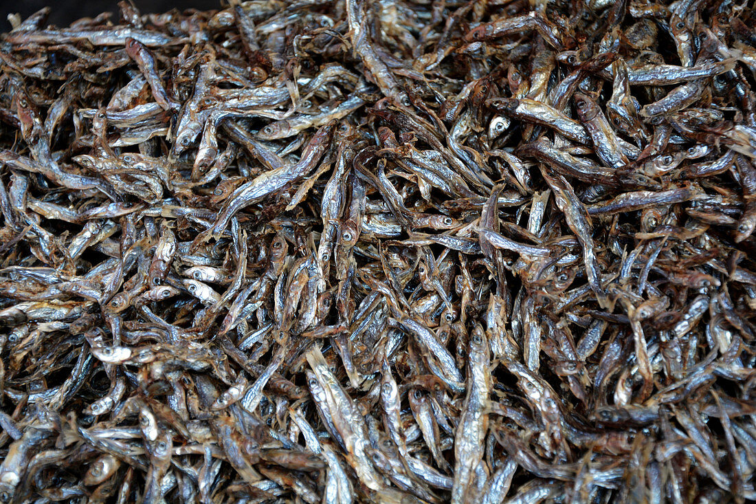 Mzuzu; Northern Region; Malawi; Range of goods in the market; dried sardines