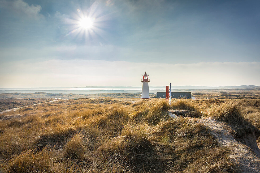 Dune landscape with List-West lighthouse in the Ellenbogen nature reserve, Sylt, Schleswig-Holstein, Germany