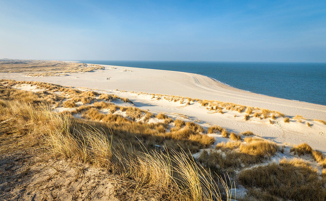 Coastal landscape on the Ellenbogen Peninsula, Sylt, Schleswig-Holstein, Germany